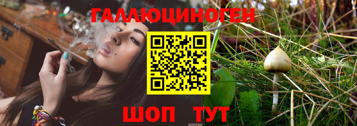 Белая Калитва  Галлюциногенные грибы прущие грибы  Вход с VPN 